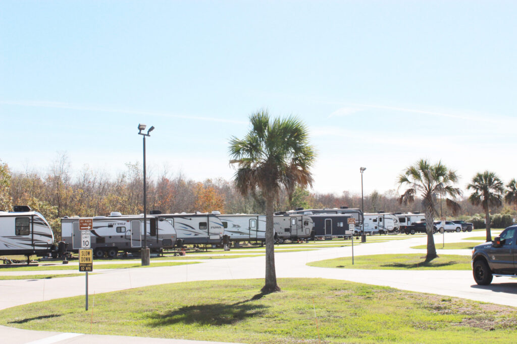 Image of the palm trees at Port Arthur RV Park